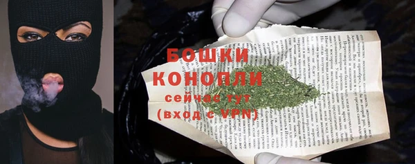 ПСИЛОЦИБИНОВЫЕ ГРИБЫ Баксан