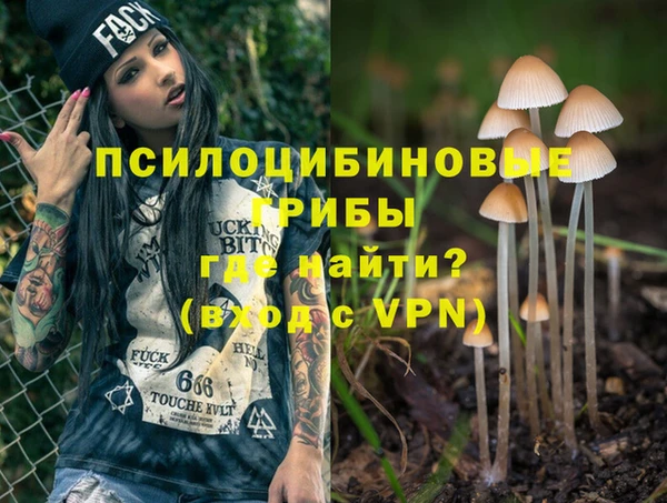 ПСИЛОЦИБИНОВЫЕ ГРИБЫ Баксан