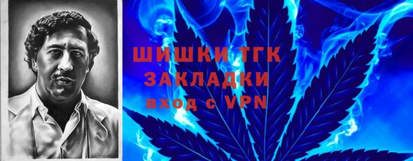 ПСИЛОЦИБИНОВЫЕ ГРИБЫ Баксан