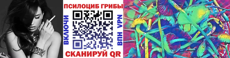 магазин  наркотиков  Шуя  Псилоцибиновые грибы GOLDEN TEACHER 